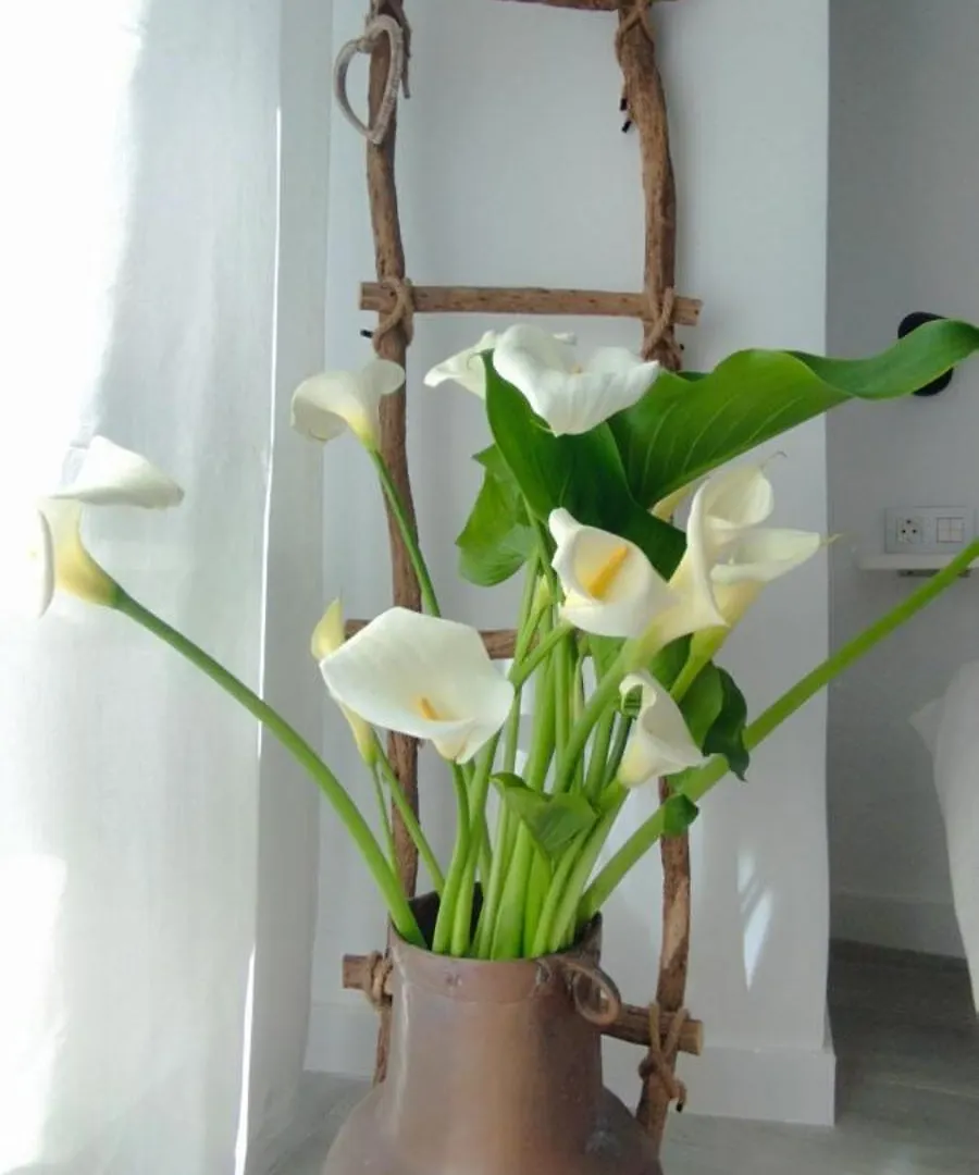 Loft Marea Bermeo Apartment